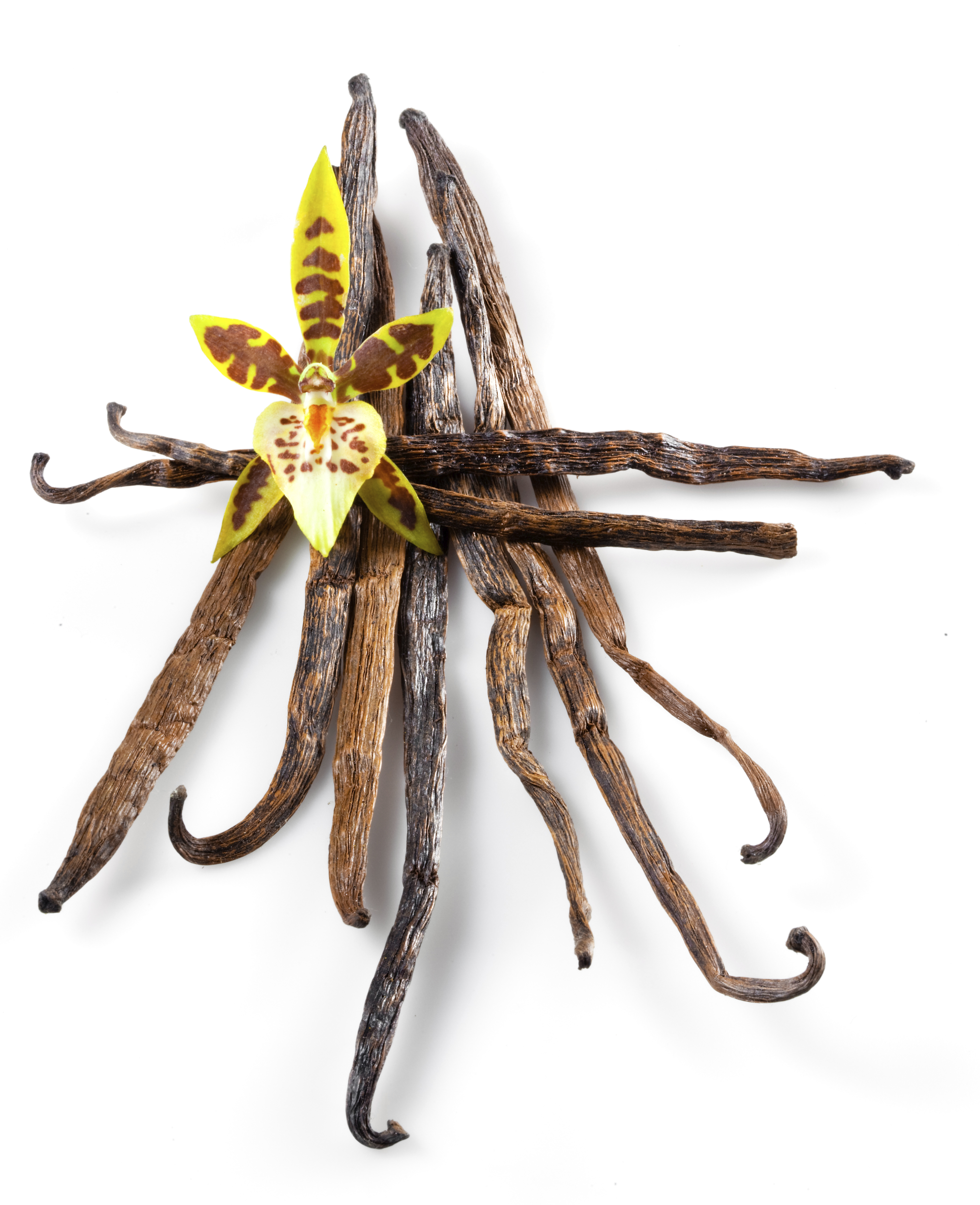 Mexican Vanilla