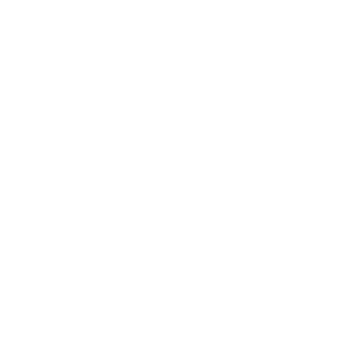 Canva Studio Logo WHITE