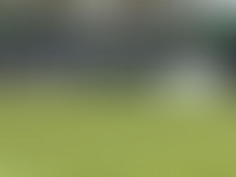 Swans Spring test against Coventry United