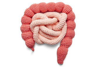 A influência das bactérias do intestino
