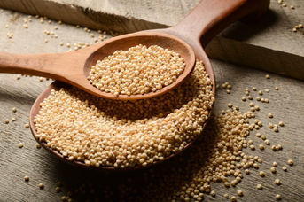 Sorgo: vale a pena conhecer esse cereal