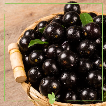 ÉPOCA DE JABUTICABA