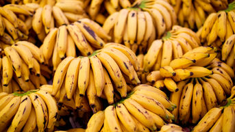 RAIO-X: BANANAS