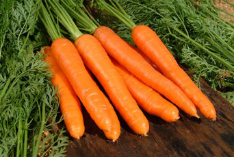 TIPOS DE VITAMINA B