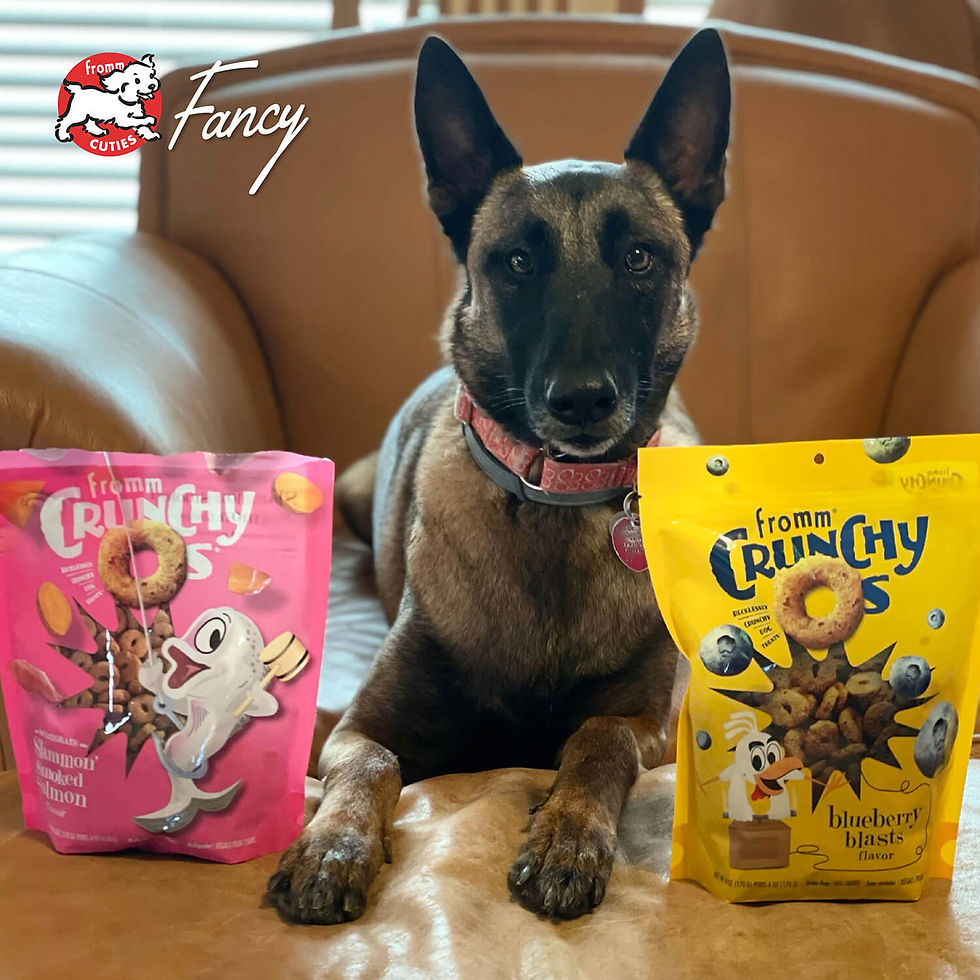 Thumbnail: Fromm Crunchy Os® Dog Treats - Slammon Smoked Salmon Flavor (6oz)