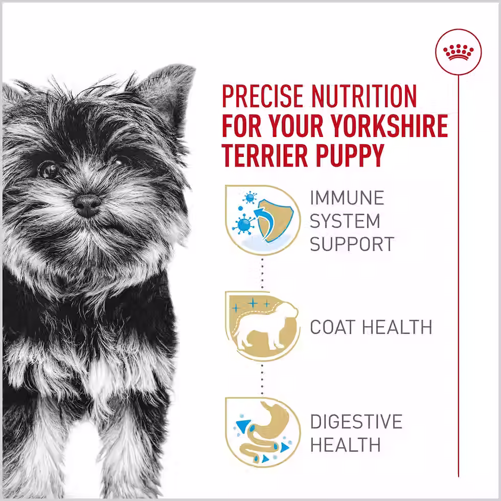 Thumbnail: Royal Canin Yorkshire Terrier Puppy Dry Dog Food – 2.5 lb