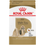 Thumbnail: Royal Canin Shih Tzu Adult Dry Dog Food – 2.5 lb