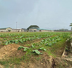 GGP AGRICULTURE& FARM .JPG