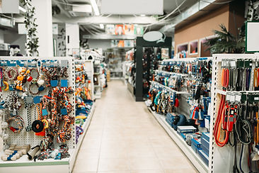Pet shop interior, shelves with accessor