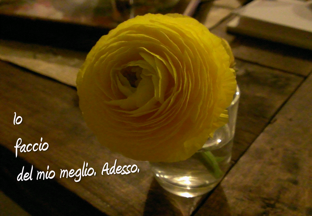 2014 04 25_FB_Io faccio del mio meglio_A4.gif