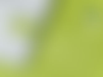 🌍 A era da Governança Corporativa nas políticas ESG: o que o ESG exige da governança hoje