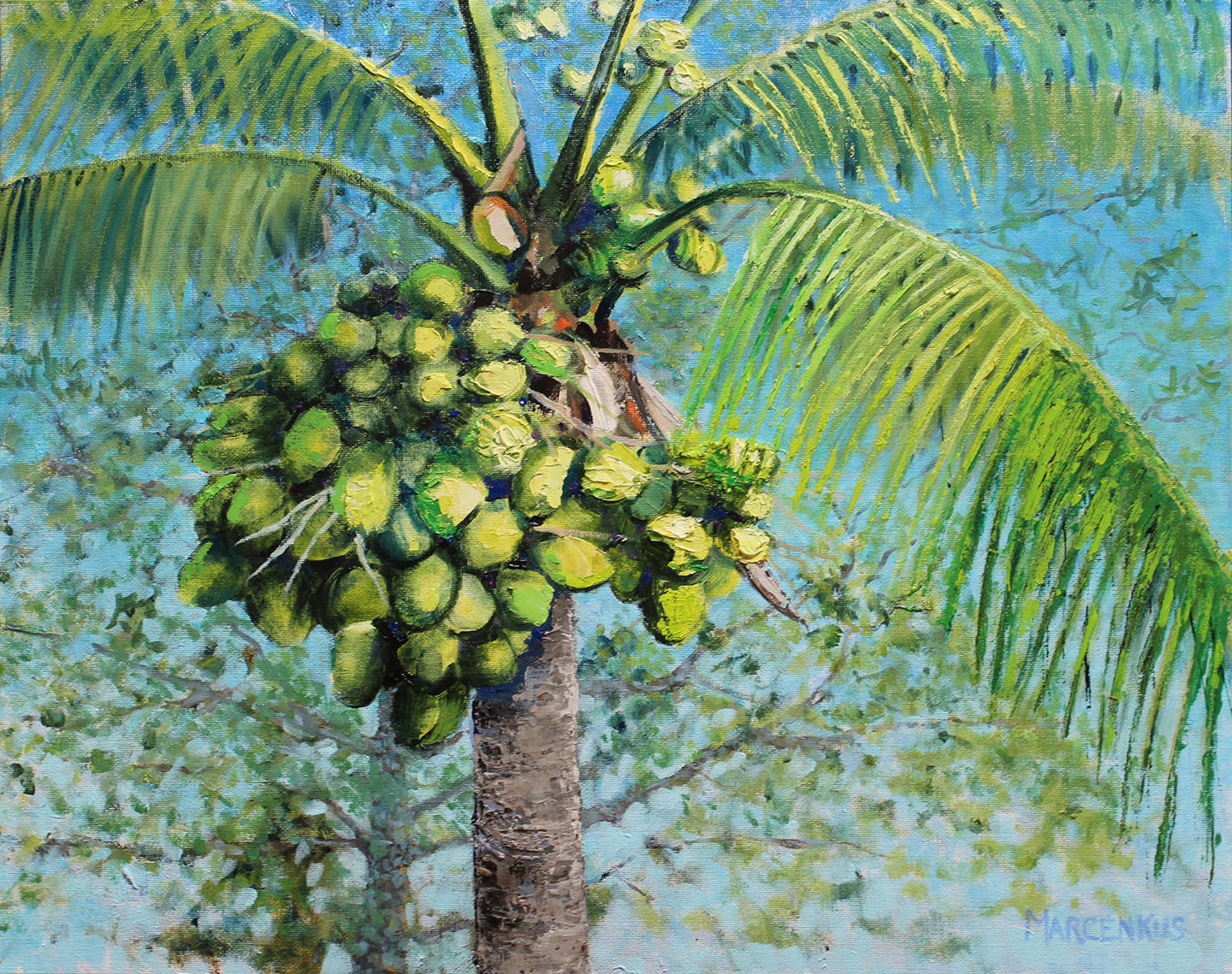 Coconut Conundrum - original