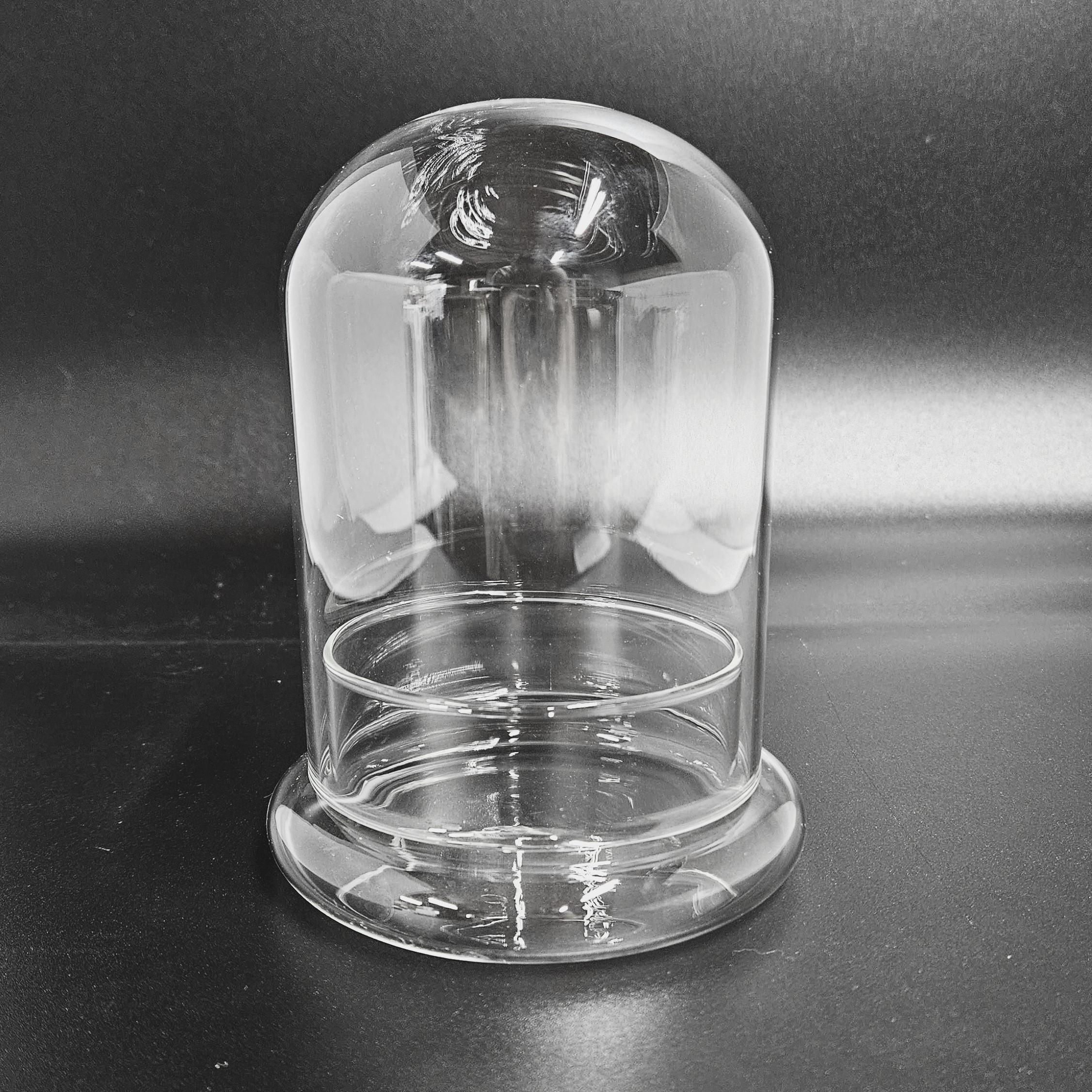 DIY Borosilicate Glass Cloche - M