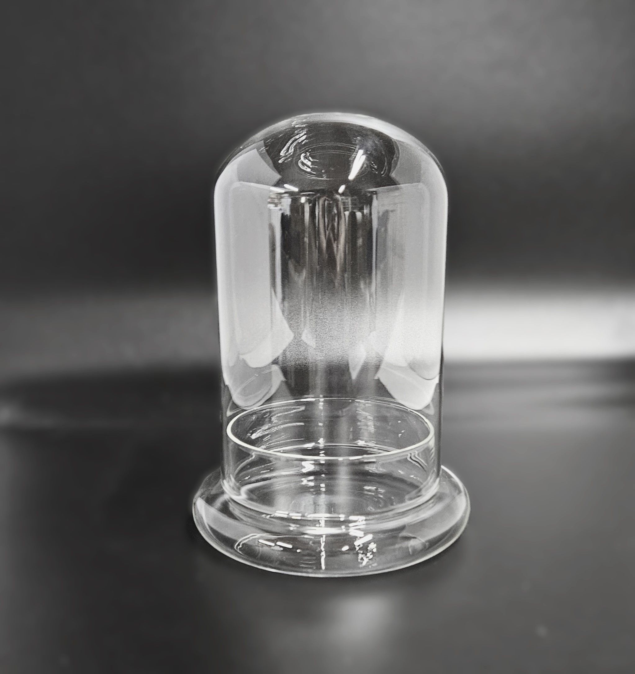DIY Borosilicate Glass Cloche - L