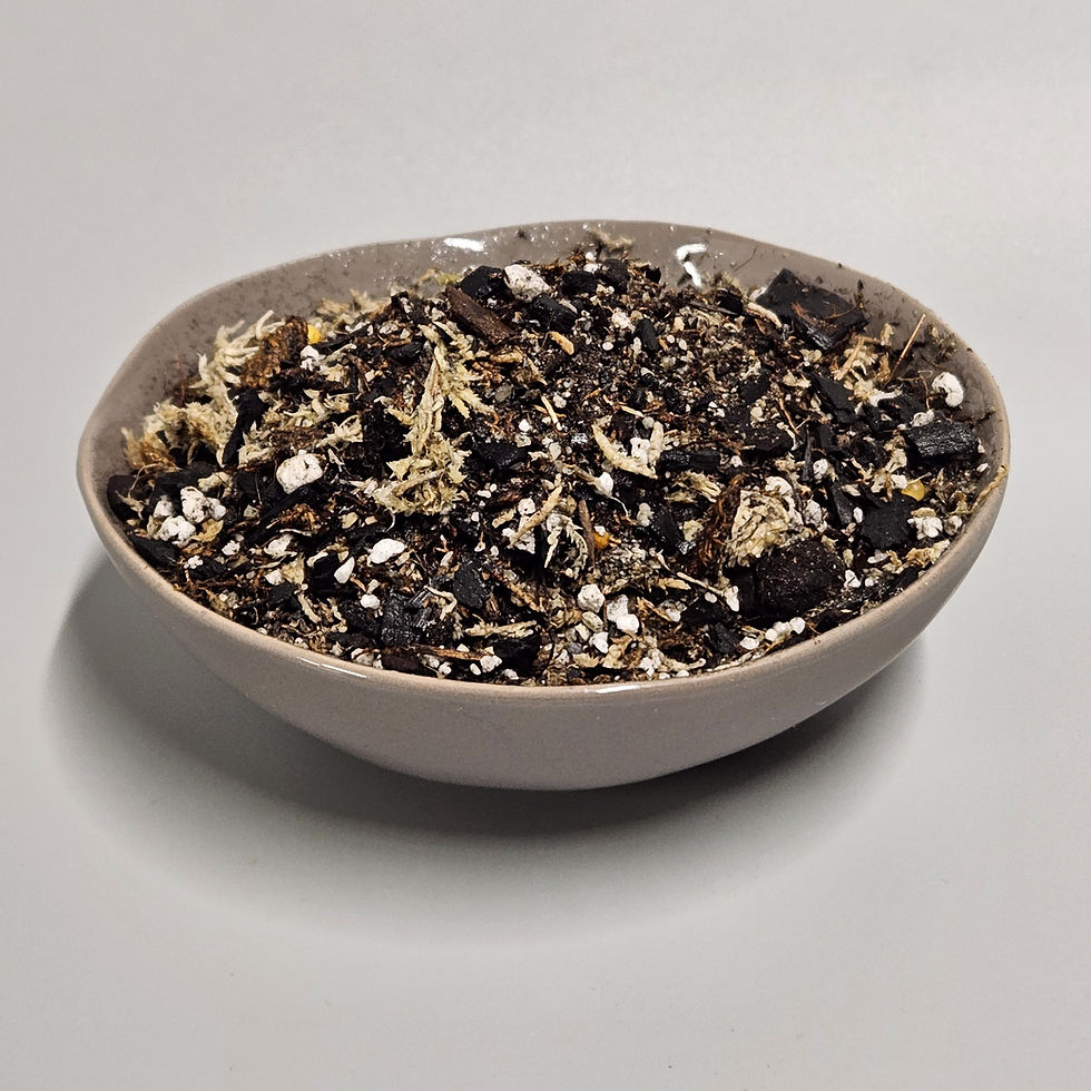 How to Make a Terrarium Soil Mix