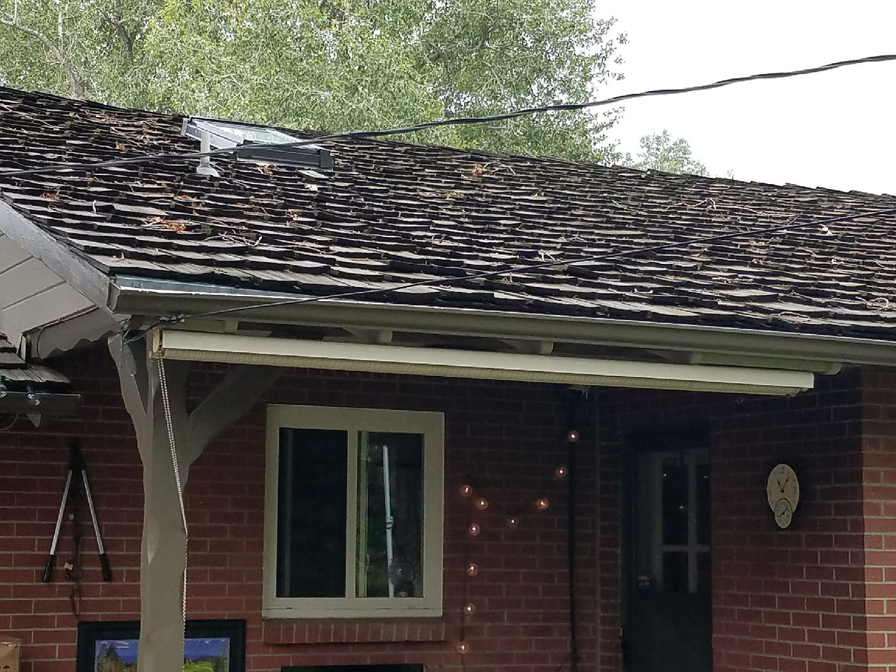 Cedar Roof Back