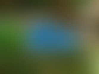 Masalah Umum pada Pompa Kolam Ikan dan Cara Mengatasinya