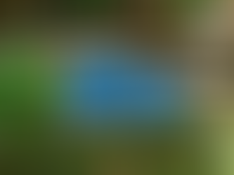 Pompa Air Kolam Ikan Tersumbat? Ini Solusi Pembersihan Efektifnya