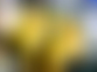 Tips Membeli Chain Block Sesuai Budget dan Kebutuhan Lapangan