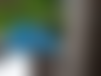 Cara Merawat Pompa Celup Air Kotor agar Tetap Optimal dalam Jangka Panjang