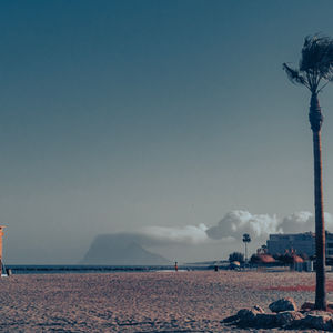 Sotogrande beach scene with a palm tree in the foreground