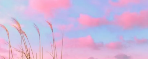 새벽예배-001 (1).png