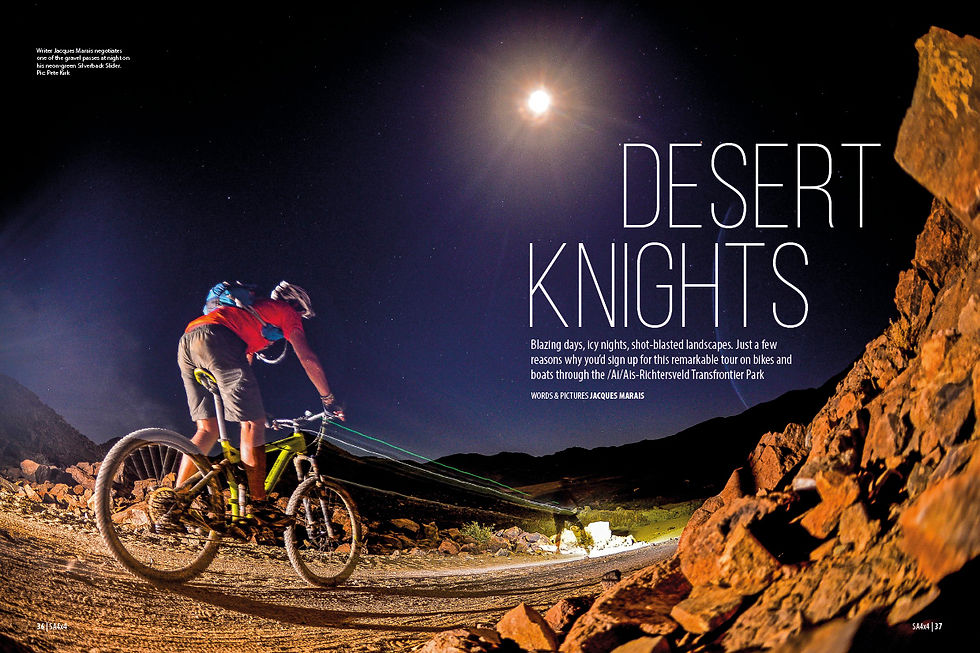 Desert Knights