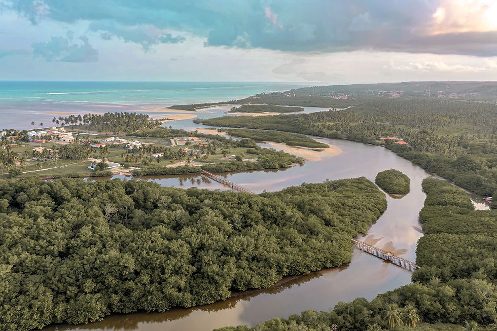 WhatsApp Image 2022-01-11 at 16.55.27.jpeg