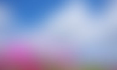 ホームページにブログ開設