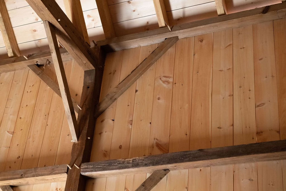 IMG_0090.jpg