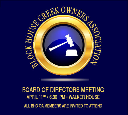 4-11-19 Board Meeting