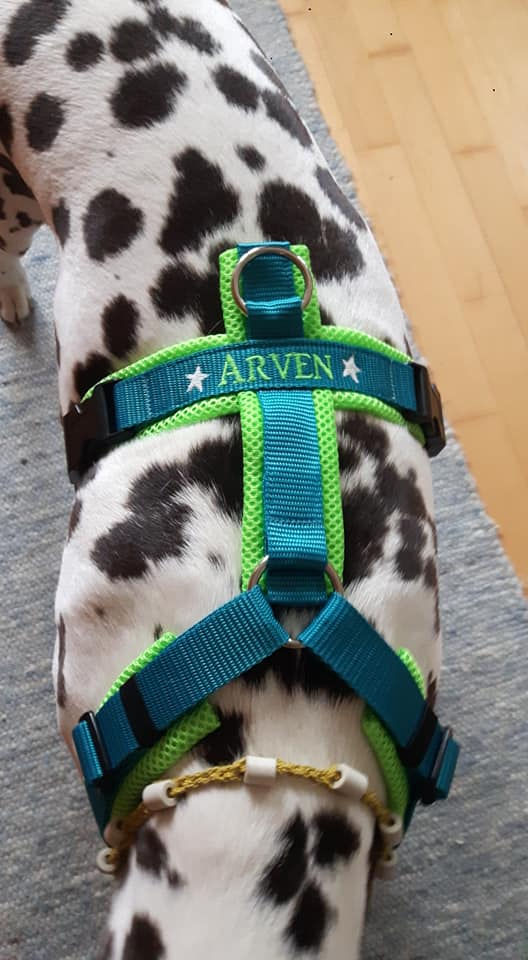 Zusatzoption BESTICKUNG