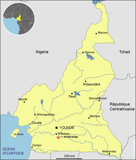 Nkoumadjap-LFDL-Cameroun-La Ferme de Léo-Association Métissage