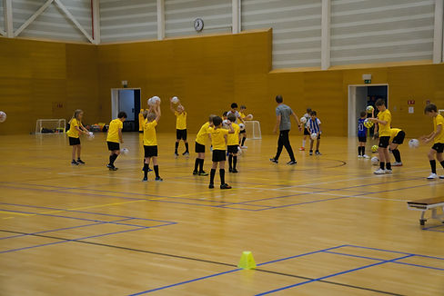 Kopie van DSC03321.jpg