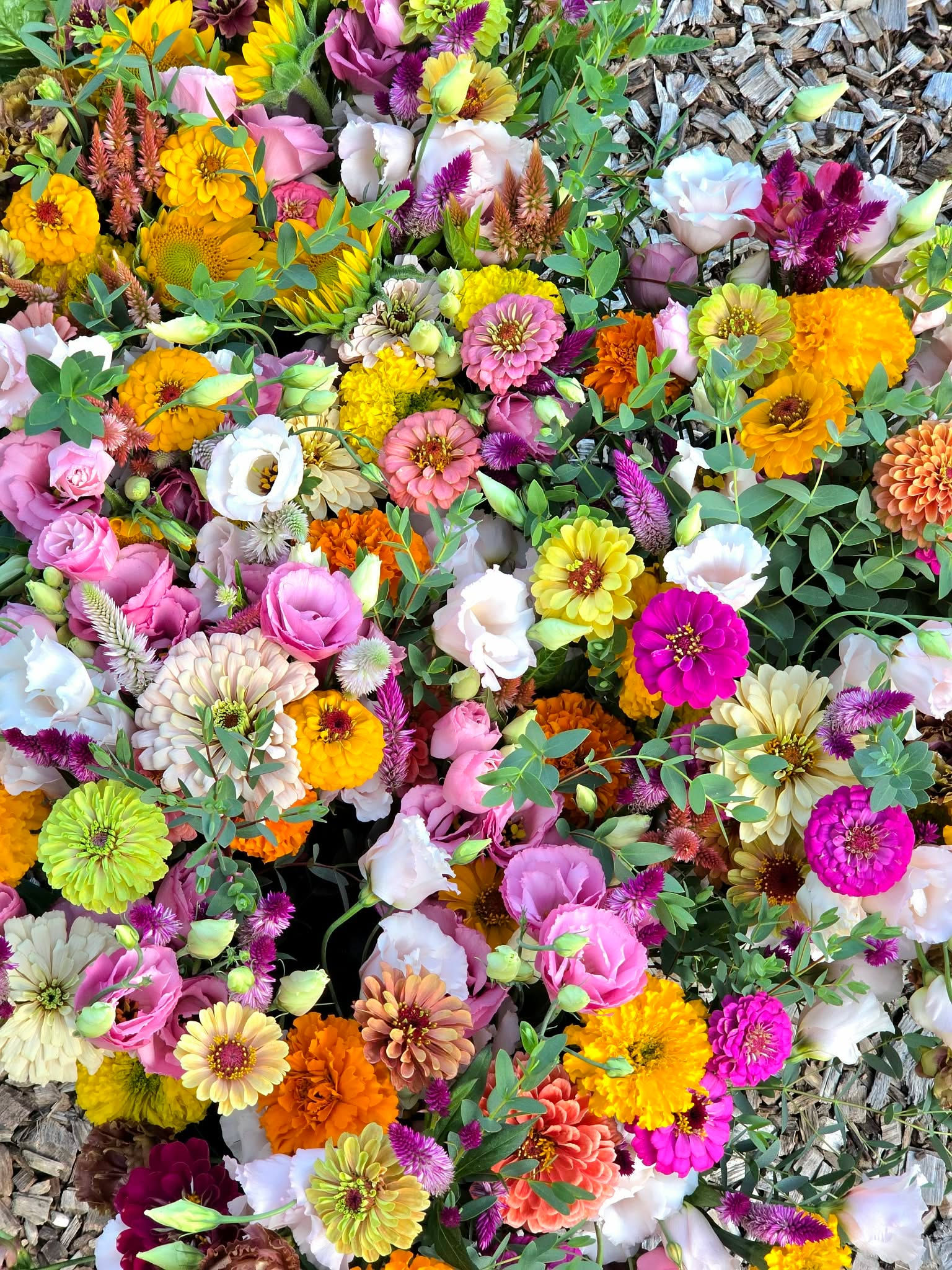 Friday Flowers
