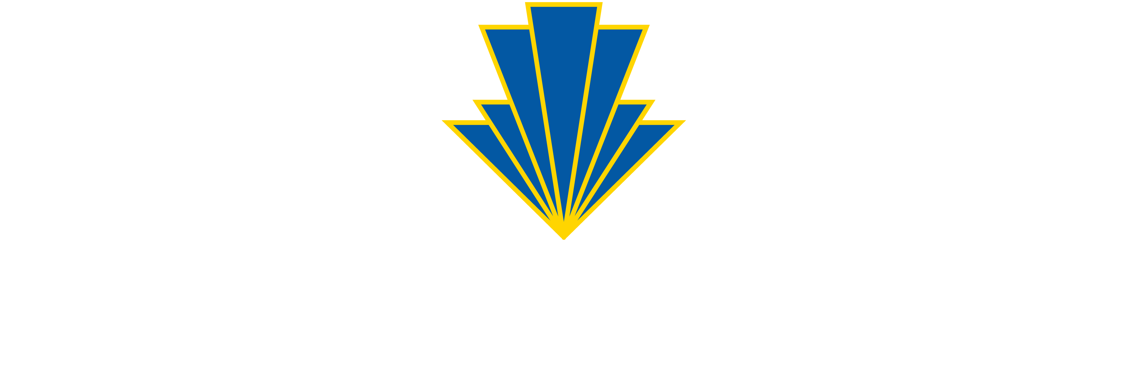 ozkaynak-web2.png