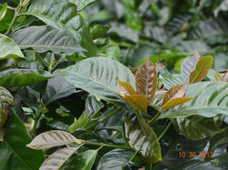 1412275_10201483769790887_2110445219_o.j