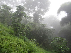 1518373_10203497984064985_29247037369329