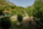 DSC01374.jpg