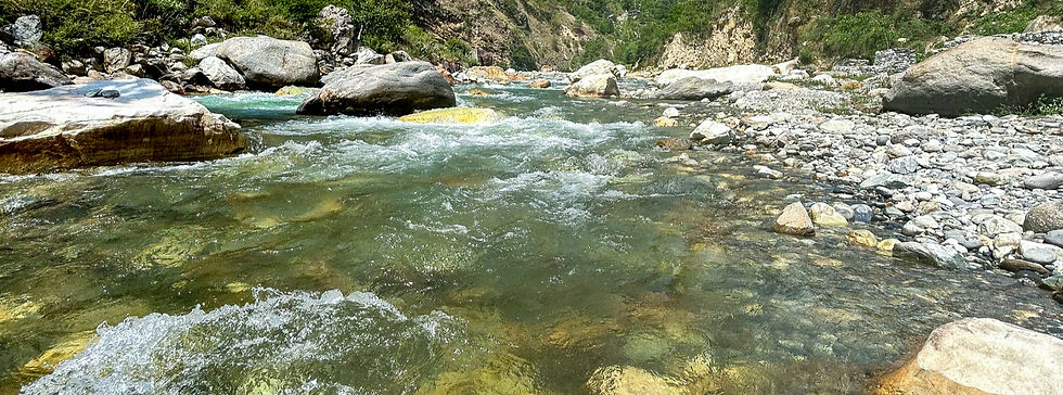 Mashru Estate Tirthan6_edited_edited.jpg