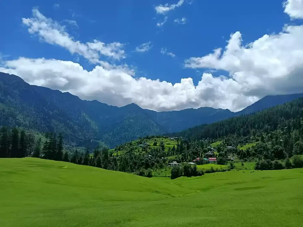 1661702668_1661702632213.jpg (1).webp