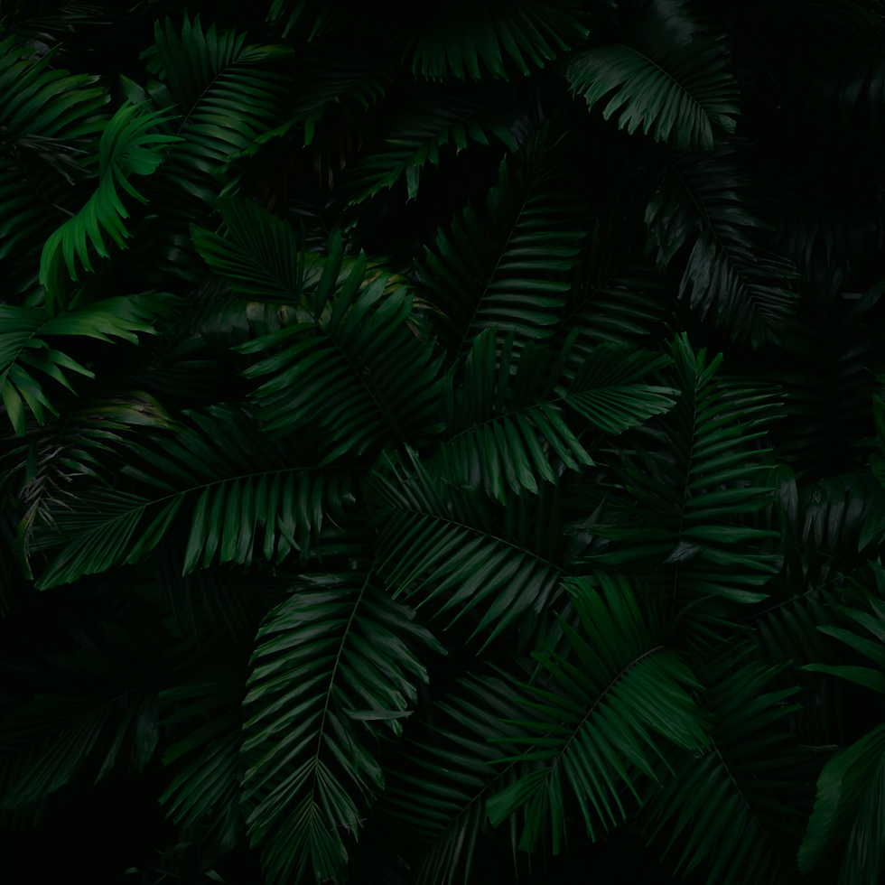 Mashru - HOUSE RULES (story highlight) (1).png