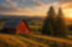 IMG_2748.jpeg