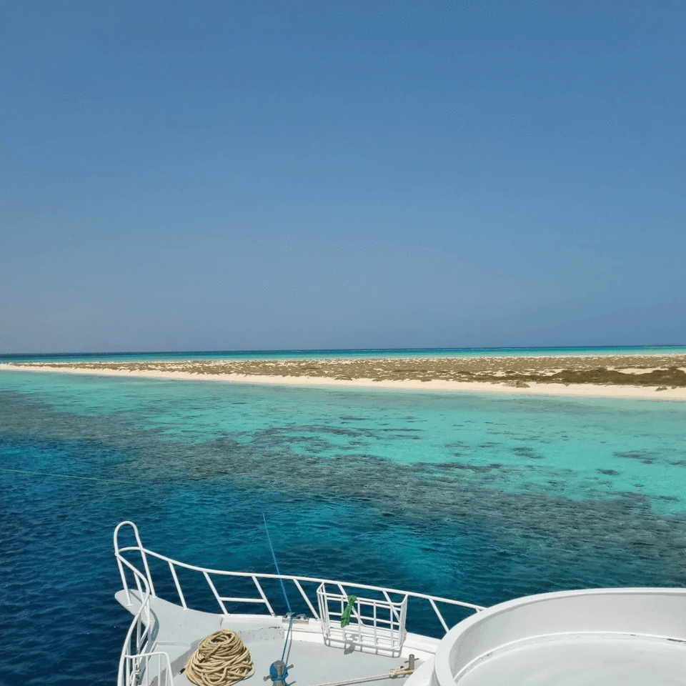 marsa alamama.gif