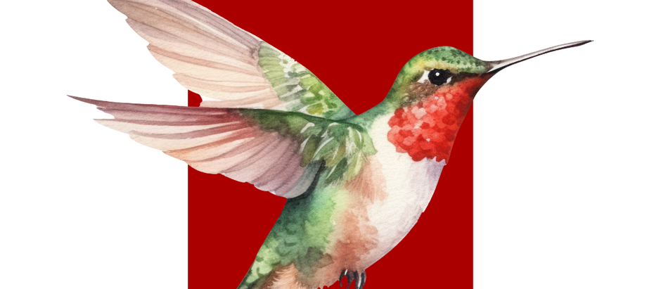 A New and Better Direction