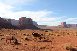 MONUMENT VALLEY