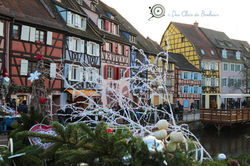 Colmar