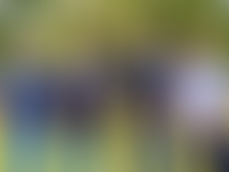 Prefeito Leonardo Menezes, secretários e promotor visitam propriedade beneficiada pelo Ser Natureza