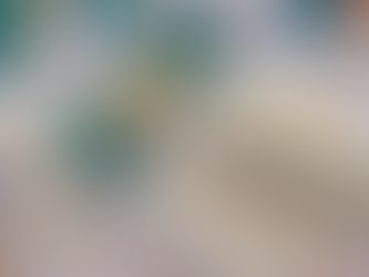 Mega-Sena acumula novamente e prêmio principal vai para R$ 58 milhões