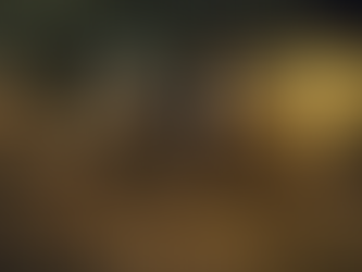 Após colisão, carro sobe em calçada, mata uma pessoa e deixa quatro feridas na GO-070